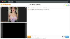 OmegleApp: O Substituto do Omegle